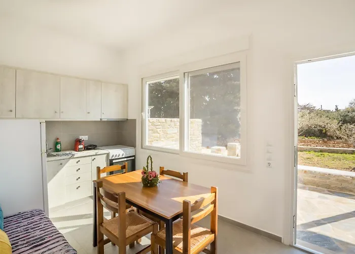 Andriana's 1 - Cycladic With Garden , Paros