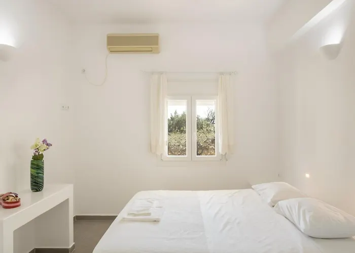 Andriana's 1 - Cycladic With Garden , Paros Apartment