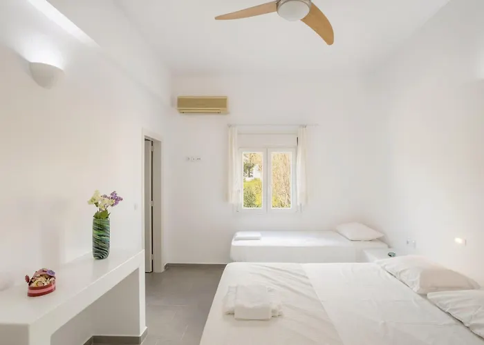 Andriana's 1 - Cycladic With Garden , Paros Apartment Drios